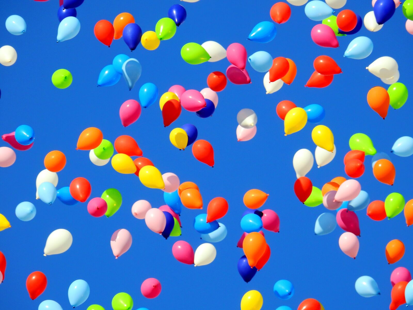 Nikon Coolpix P900 sample photo. Balloon, party, carnival photography