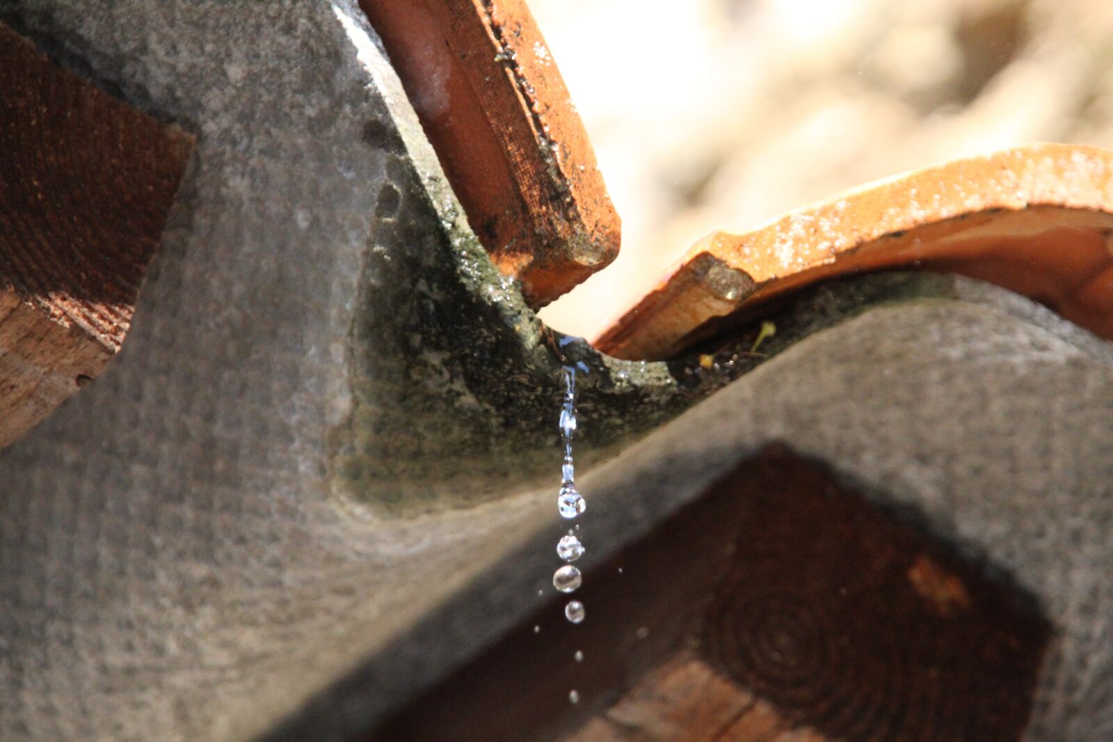 Canon EOS 1300D (EOS Rebel T6 / EOS Kiss X80) sample photo. Water, rain, roof photography