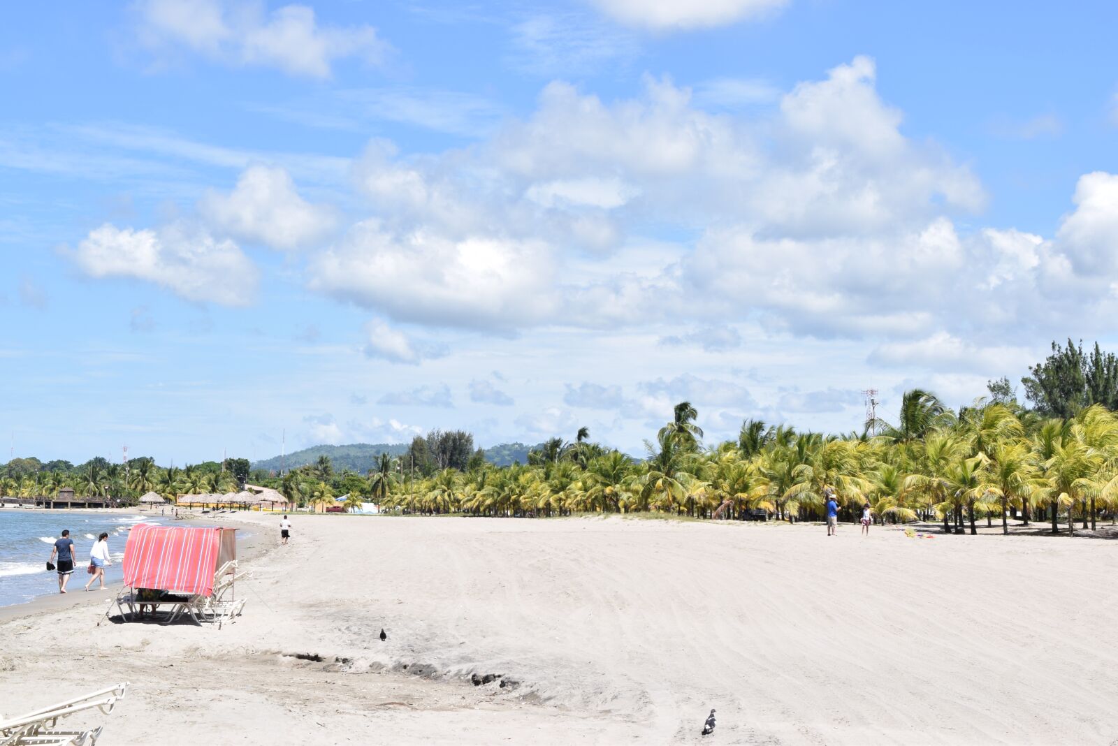 Nikon D3300 sample photo. Beach, blue, sky, caribbean photography