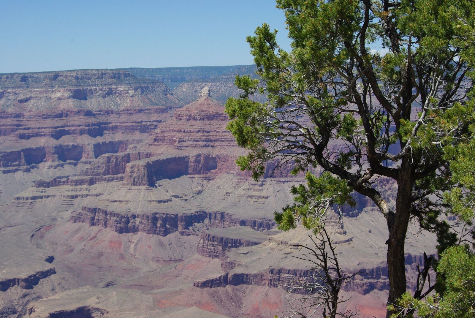 Pentax K200D sample photo. Grand canyon, arizona, nature photography