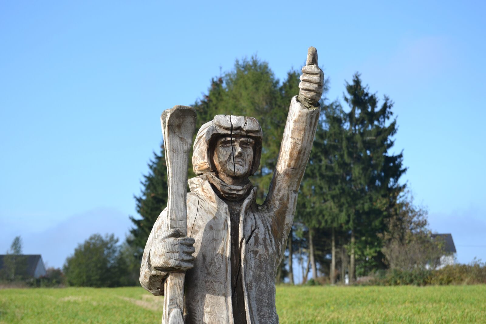 Nikon D3100 sample photo. Ski, skiing, woodcarving photography