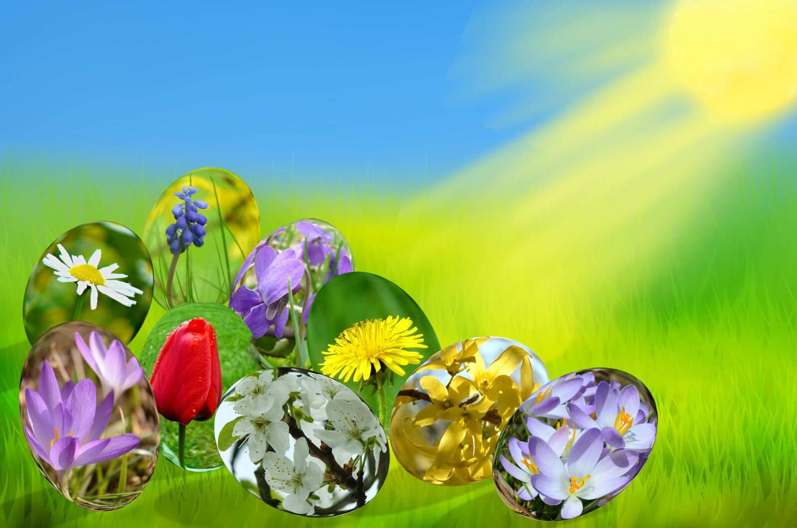 Nikon D5100 sample photo. Easter, eggs, spring photography