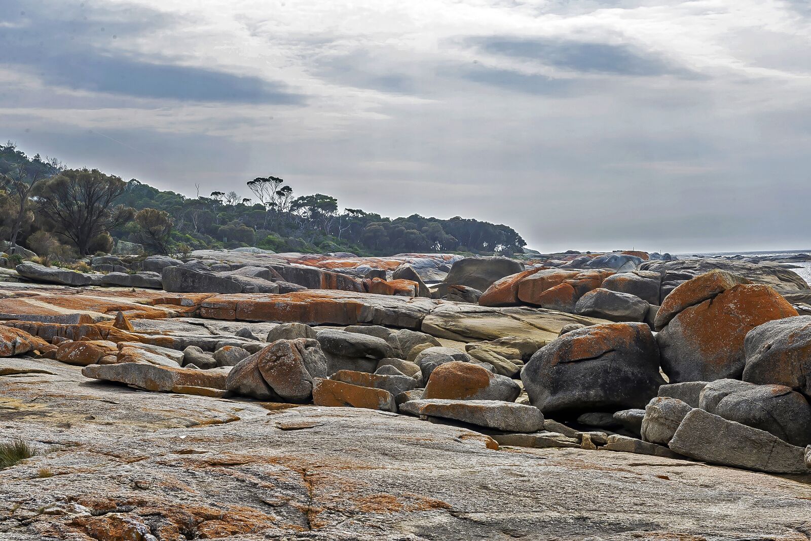 Nikon D610 sample photo. Australia, tasmania, nature photography