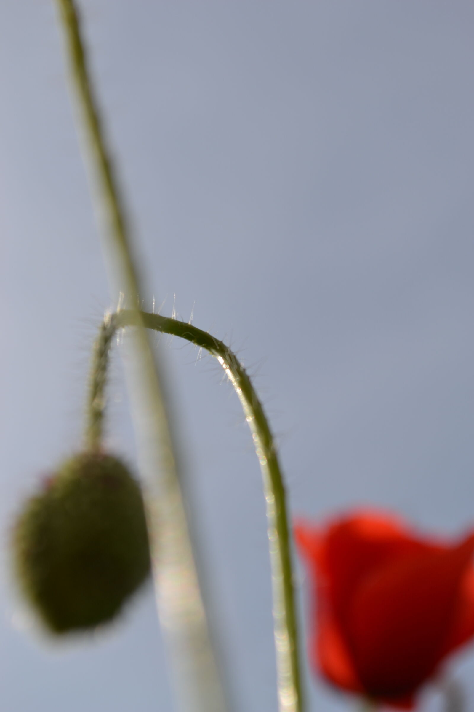 Nikon D3100 sample photo