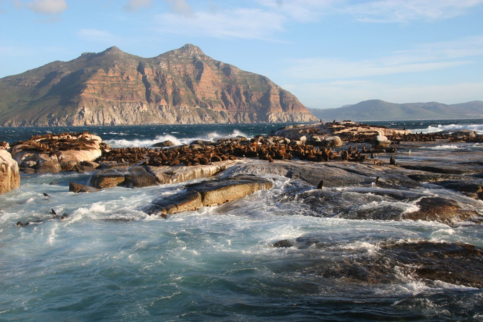 Canon EOS 20D sample photo. Duiker island, south africa photography