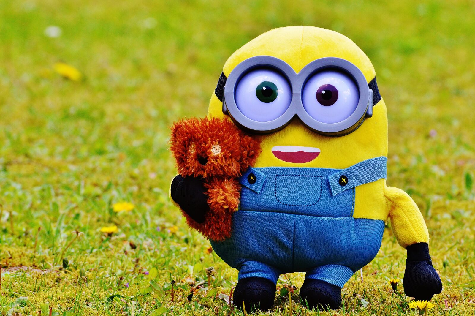 Nikon D3200 sample photo. Minion, funny, figure photography