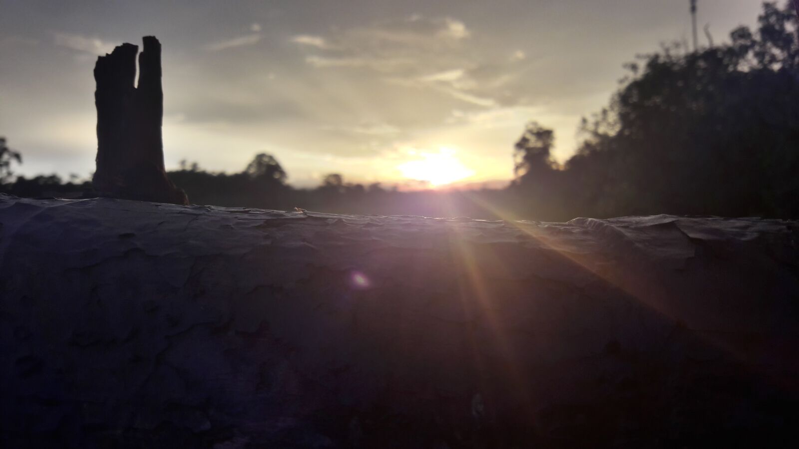 Samsung Galaxy A5(2016) sample photo