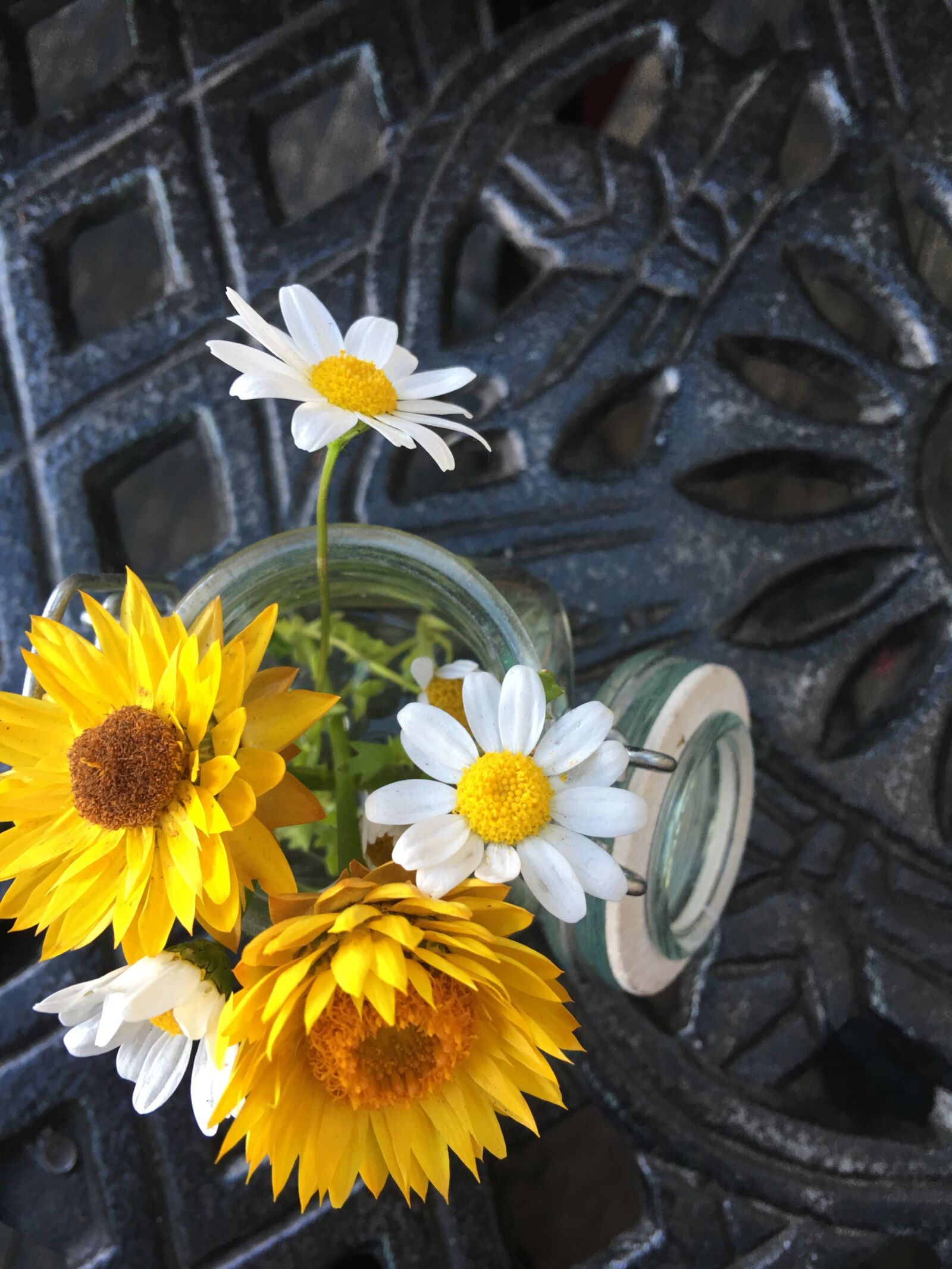 Apple iPhone 6s Plus sample photo. Daisy, flowers, glass, jar photography