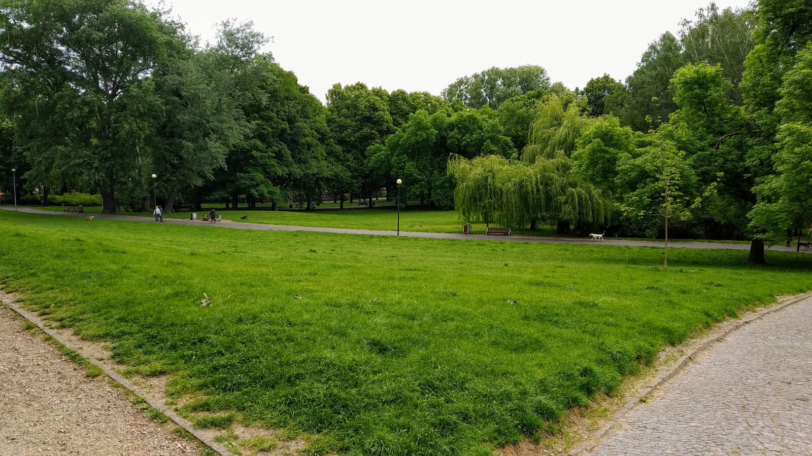 Xiaomi Mi A2 Lite sample photo. Park, grass, tree photography