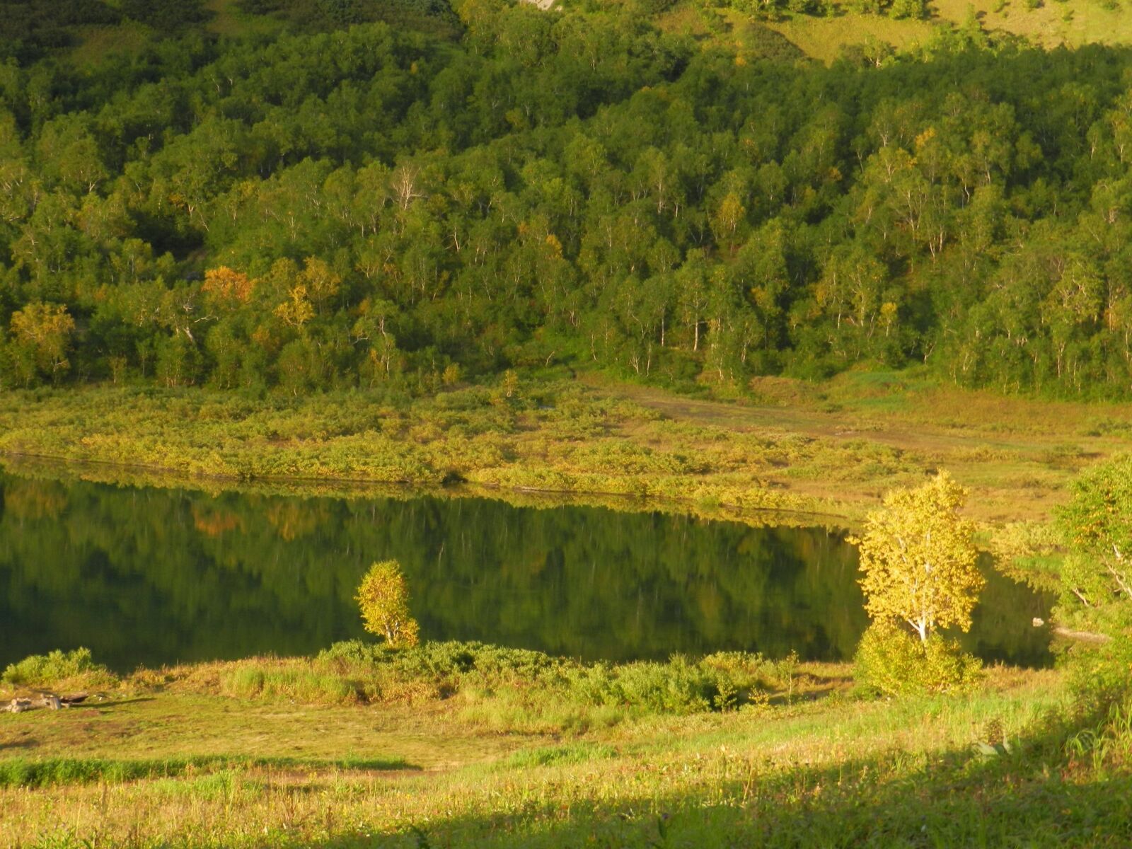 Nikon Coolpix P500 sample photo. Mountains, lake, forest photography