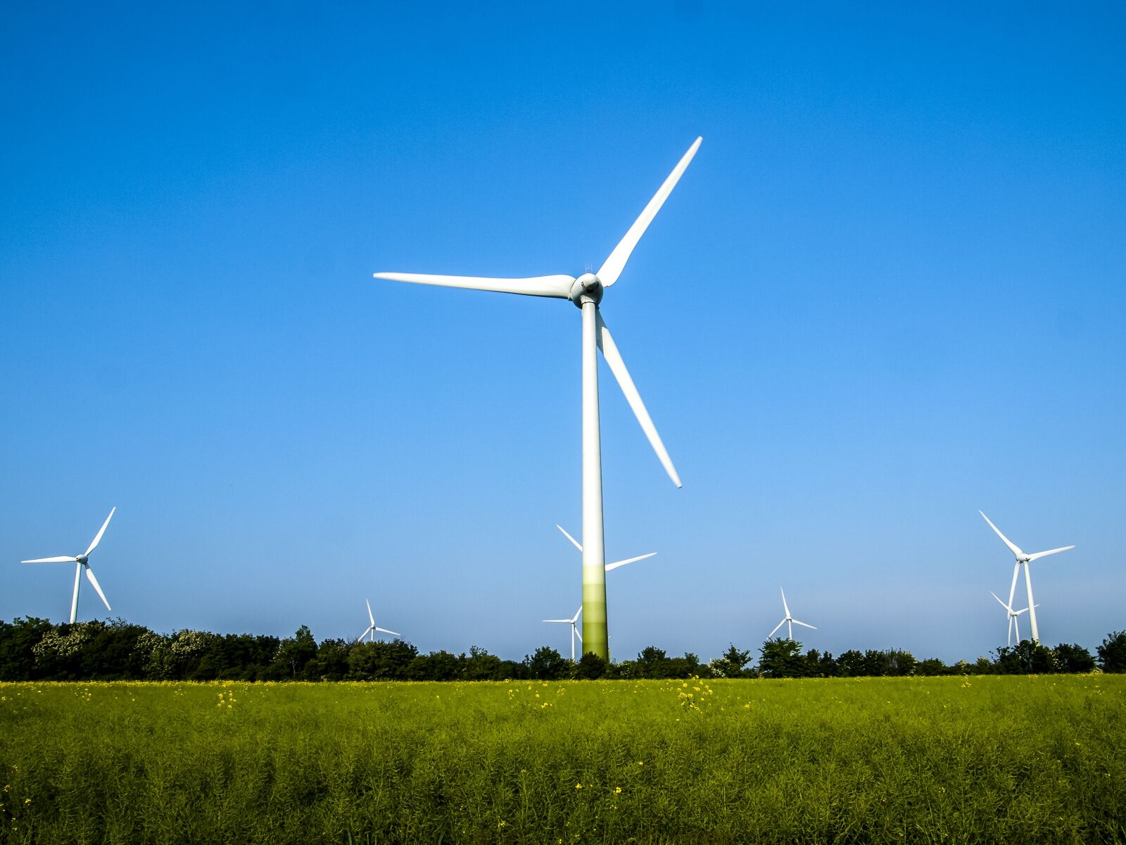 Olympus E-3 sample photo. Windr der, landscape, wind photography