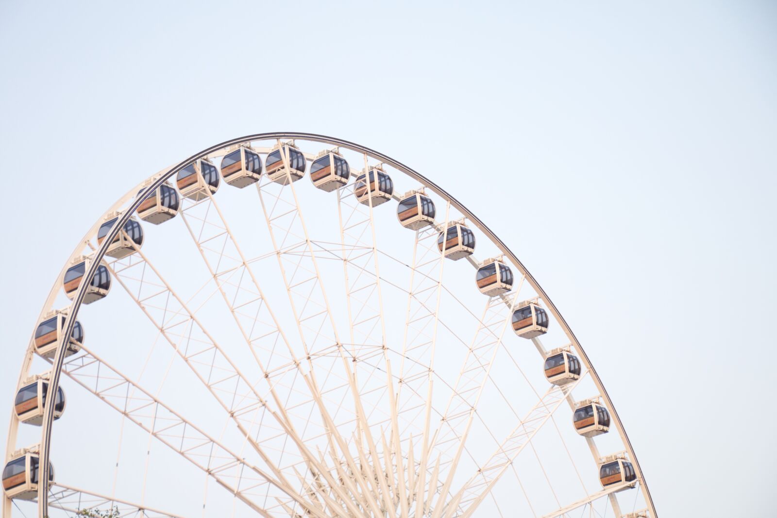 Canon EOS 70D sample photo. White, ferris, wheel, during photography