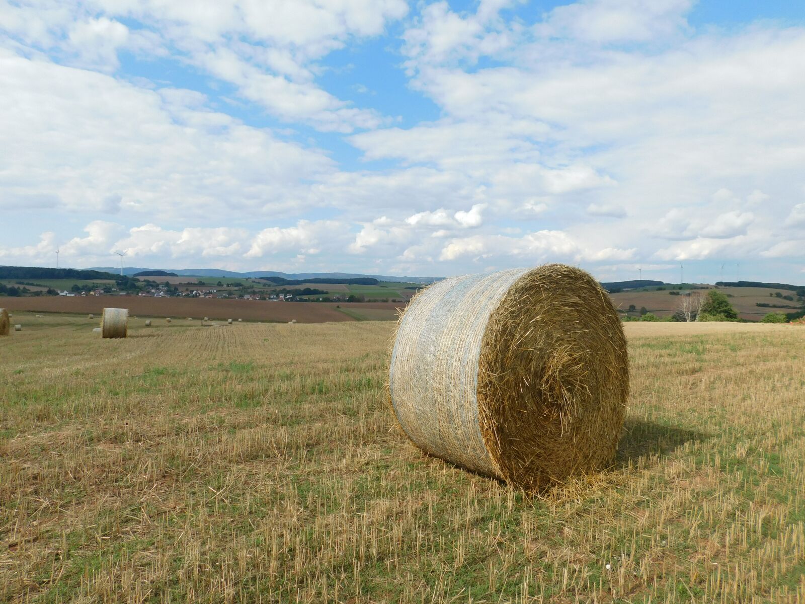 Nikon Coolpix B500 sample photo. Hay bales, landscape, agriculture photography