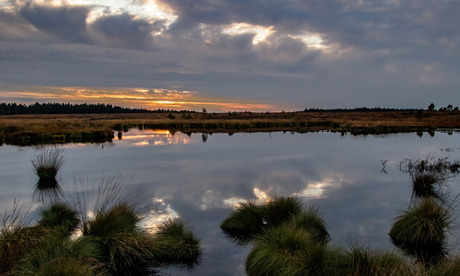 Canon EOS 80D sample photo. Moor, swamp, landscape photography