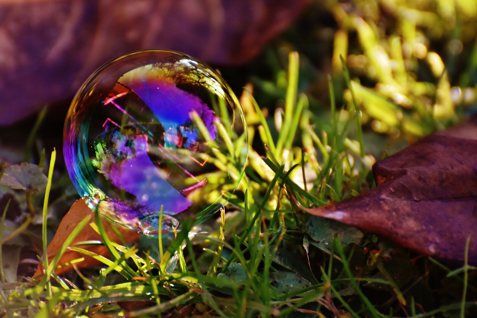 Nikon D7200 sample photo. Soap bubble, colorful, meadow photography
