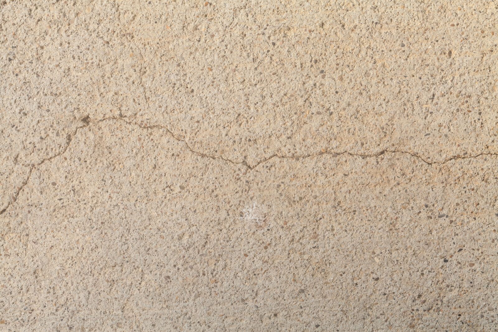 Canon EF 100mm F2.8L Macro IS USM sample photo. Background, concrete, cracked photography