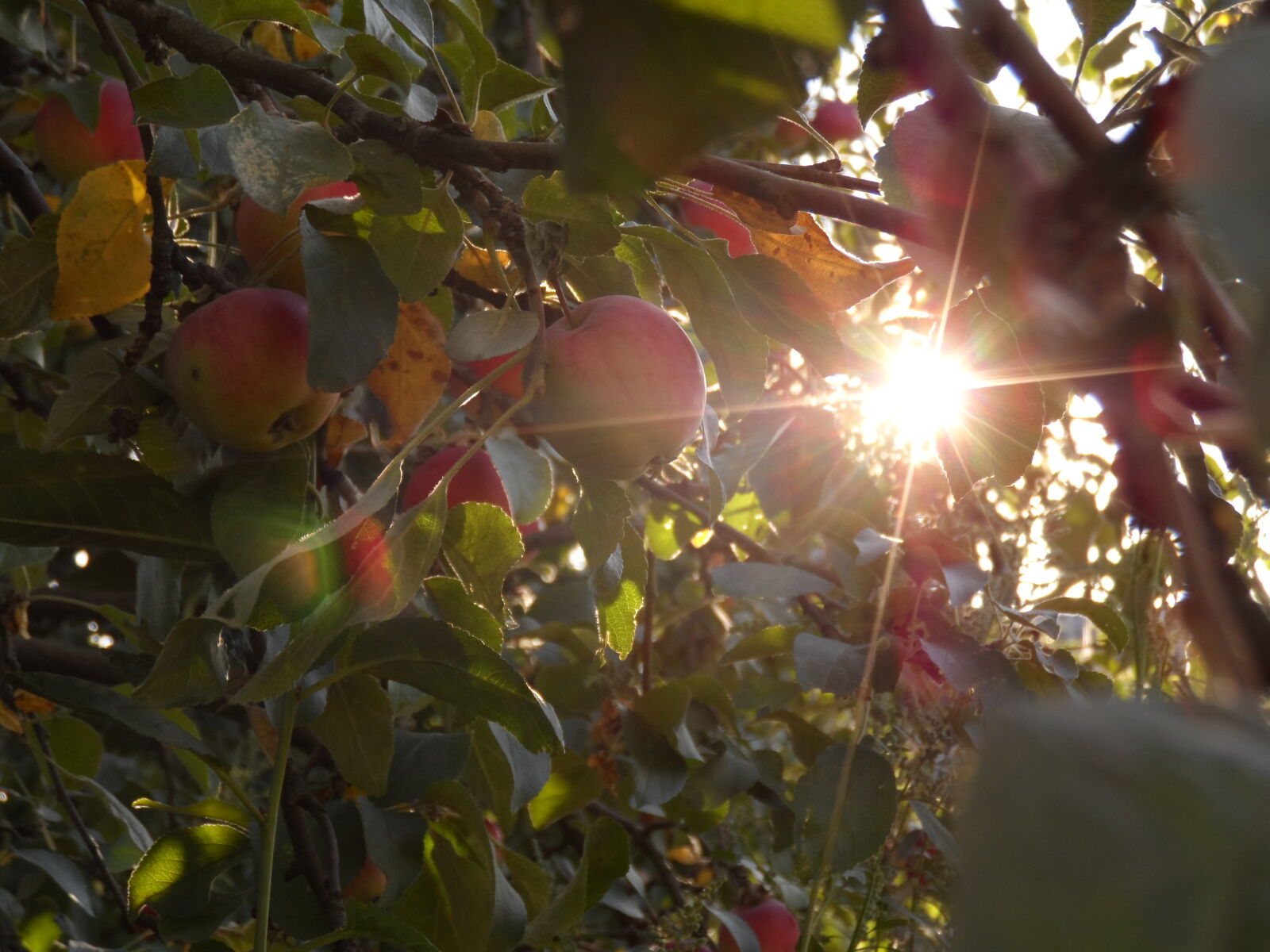 Samsung WB150 / WB150F / WB152 / WB152F / WB151 / WB151F / WB140 sample photo