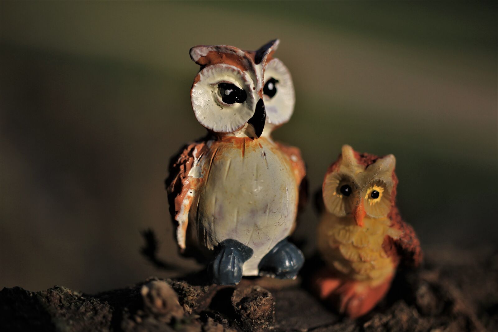 Canon EOS 7D sample photo. Owls, figures, tree photography