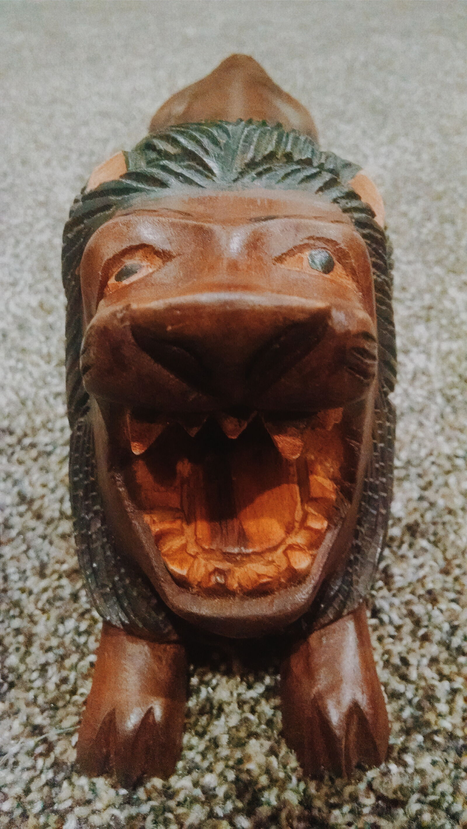 Motorola Moto X (1st Gen) sample photo. Animal, lion, night, vsco photography