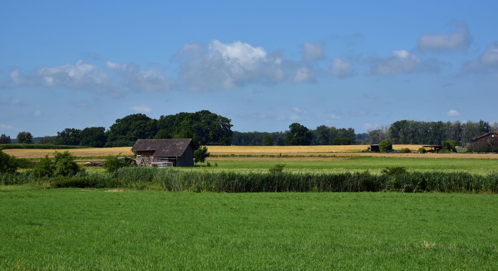 Nikon D750 sample photo. Landscape, agriculture, nature photography