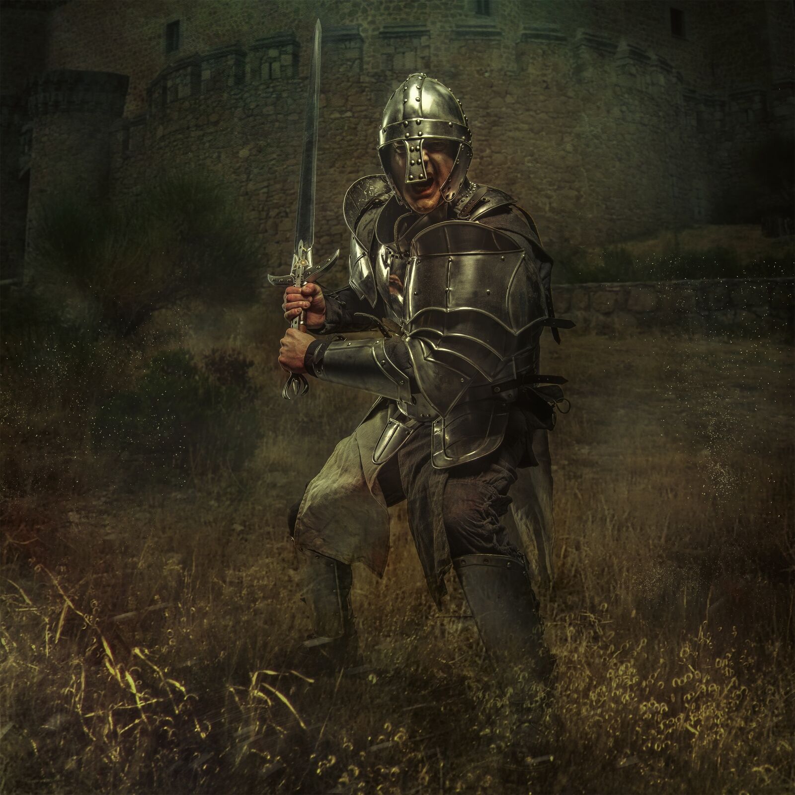 Nikon D800 sample photo. Knight, castle, middle ages photography