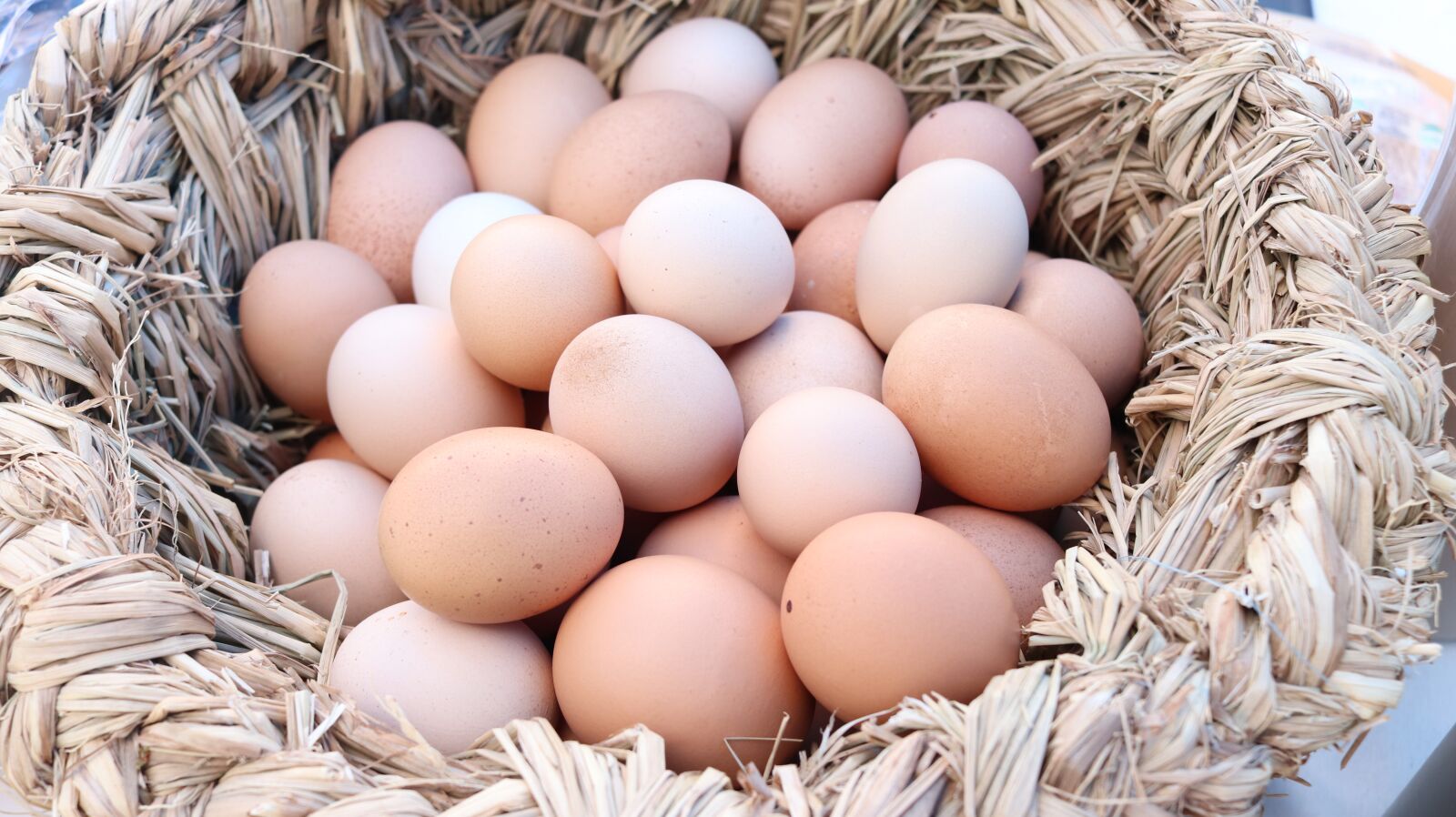 Canon EF-S 24mm F2.8 STM sample photo. Egg, eggs, egg basket photography