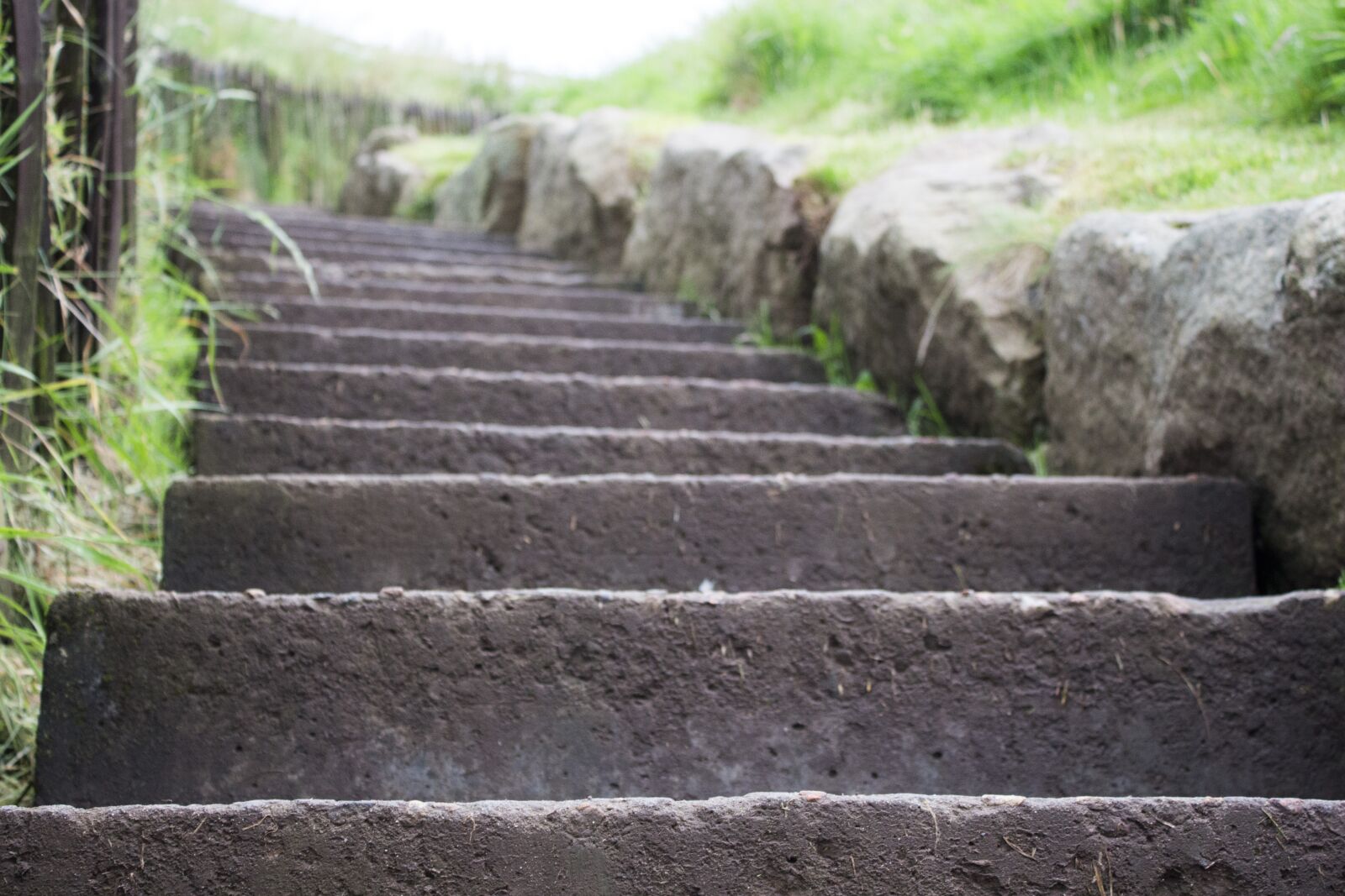 Canon EOS 650D (EOS Rebel T4i / EOS Kiss X6i) sample photo. Steps, grass, green photography