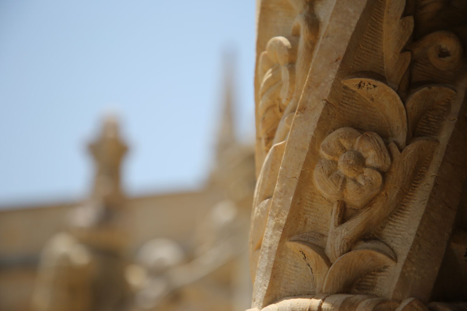 Canon EF 24-105mm F4L IS II USM sample photo. Architecture, monastery, flower photography