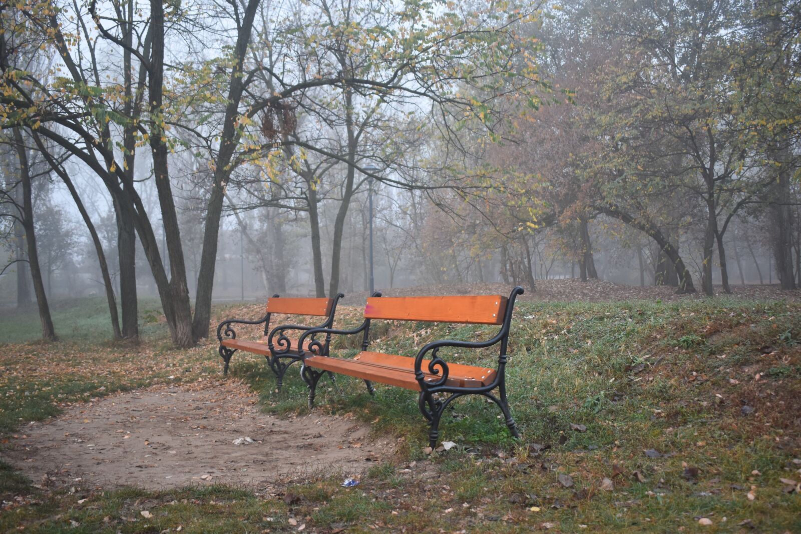 Nikon D7200 sample photo. Autumn, fog, privacy photography