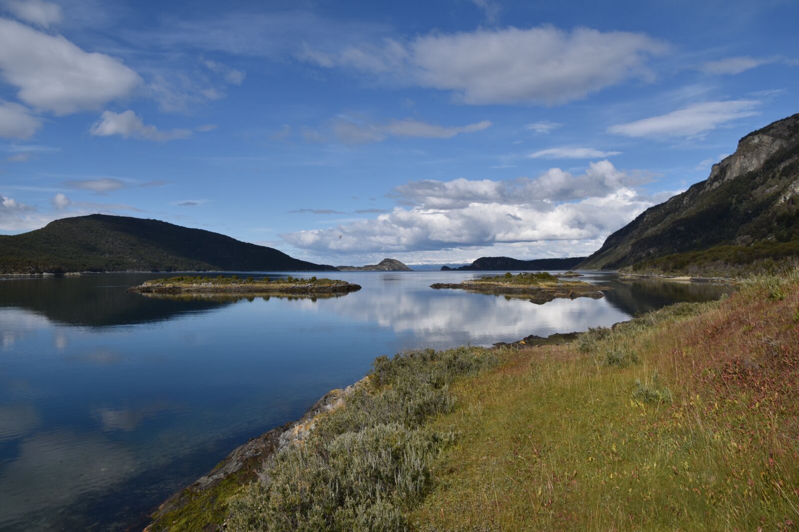 Nikon D5600 sample photo. Ushuaia, bahia lapataia, end photography