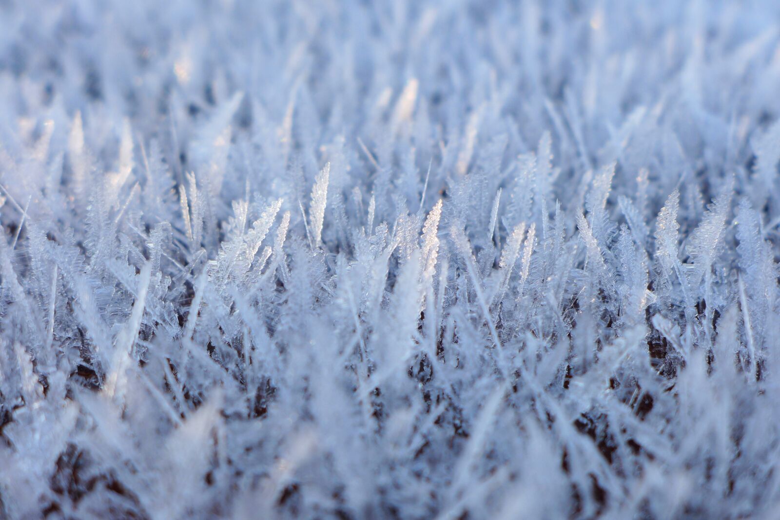 Panasonic Lumix DMC-LX7 sample photo. Ice, frozen, eiskristalle photography