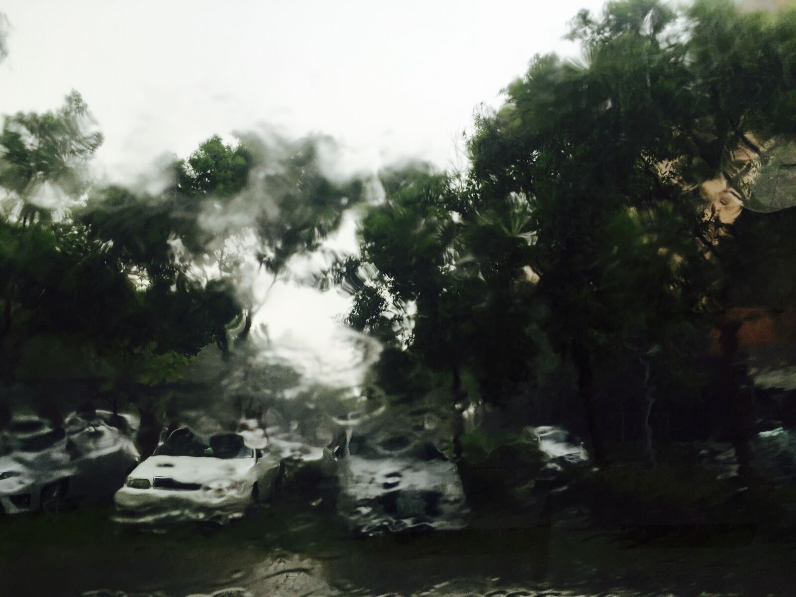 iPhone 6 Plus back camera 4.15mm f/2.2 sample photo. Raining photography
