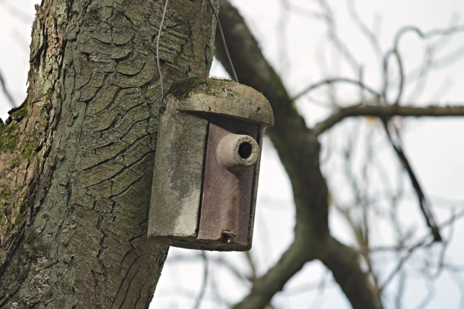 Canon EOS 1100D (EOS Rebel T3 / EOS Kiss X50) sample photo. Aviary, nesting box, nature photography