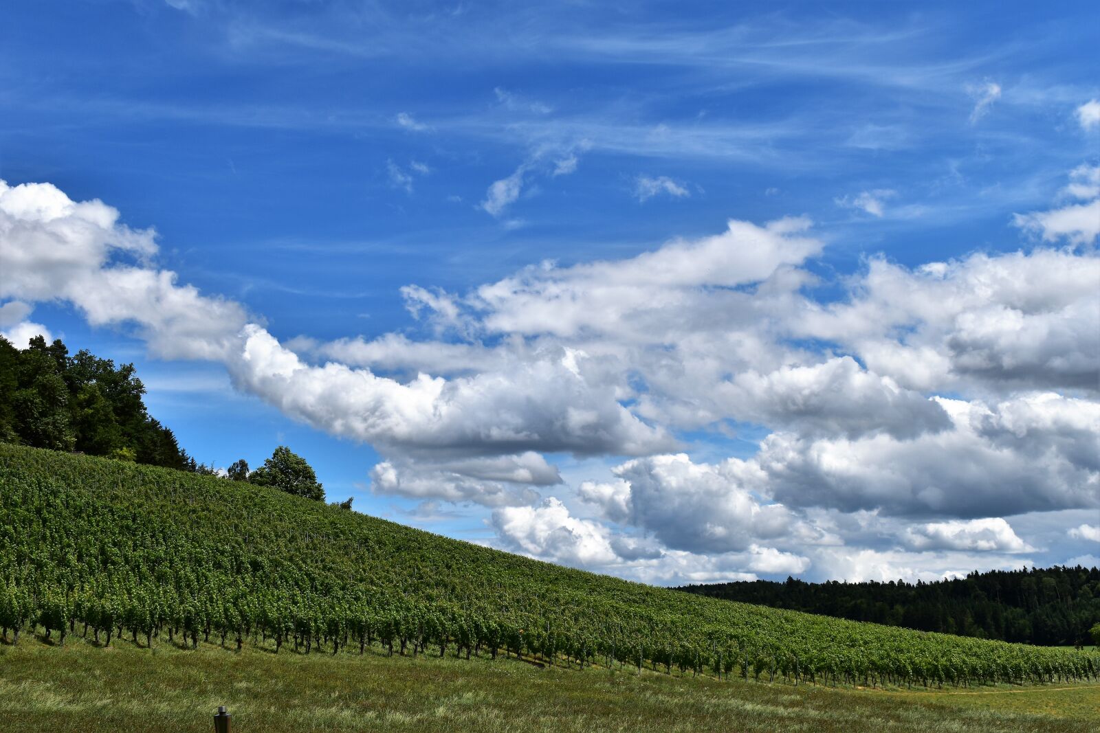 Nikon D5500 sample photo. Landscape, view, clouds photography