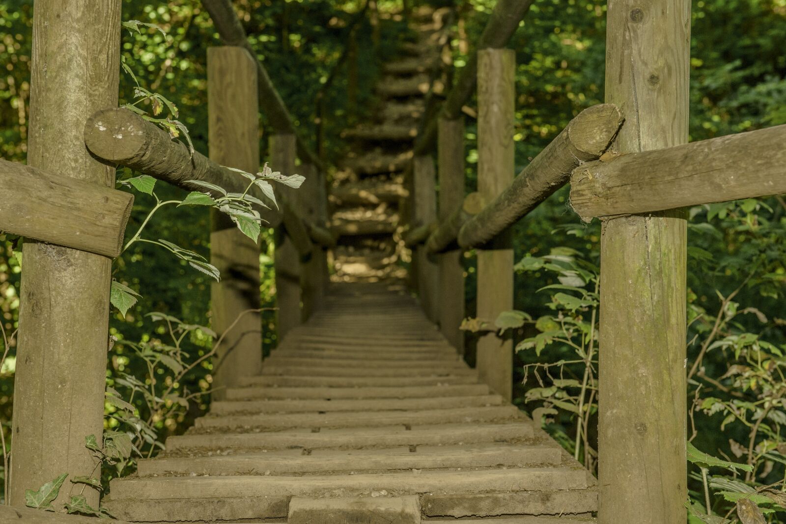 Nikon D750 sample photo. B rensch tzklamm, austria photography