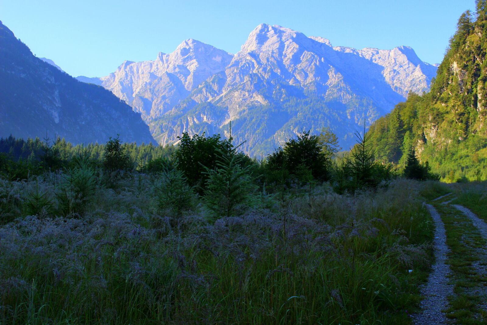 Canon EOS 100D (EOS Rebel SL1 / EOS Kiss X7) sample photo. Mountain, away, meadow photography