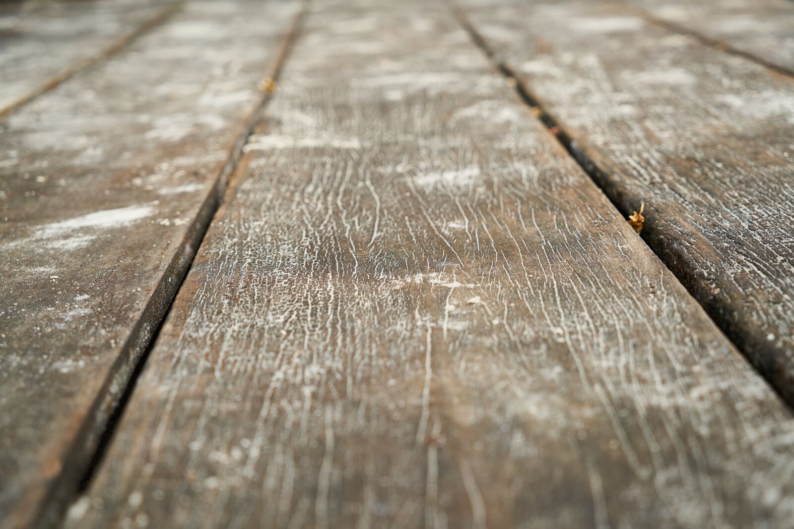 Sony a7R II sample photo. Wood-fibre boards, texture, wood photography