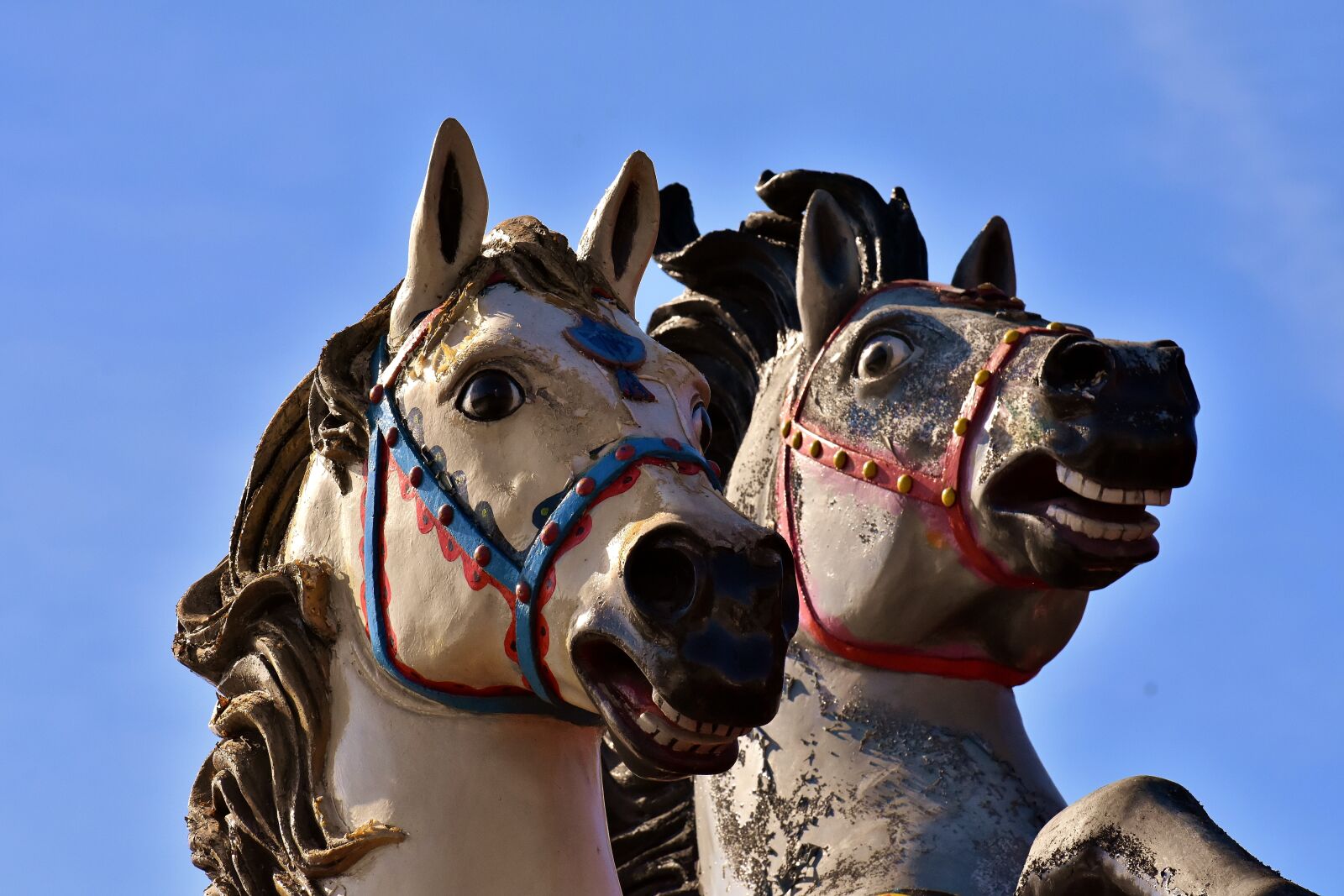 Nikon D7200 sample photo. Horses, figures, hustle and photography