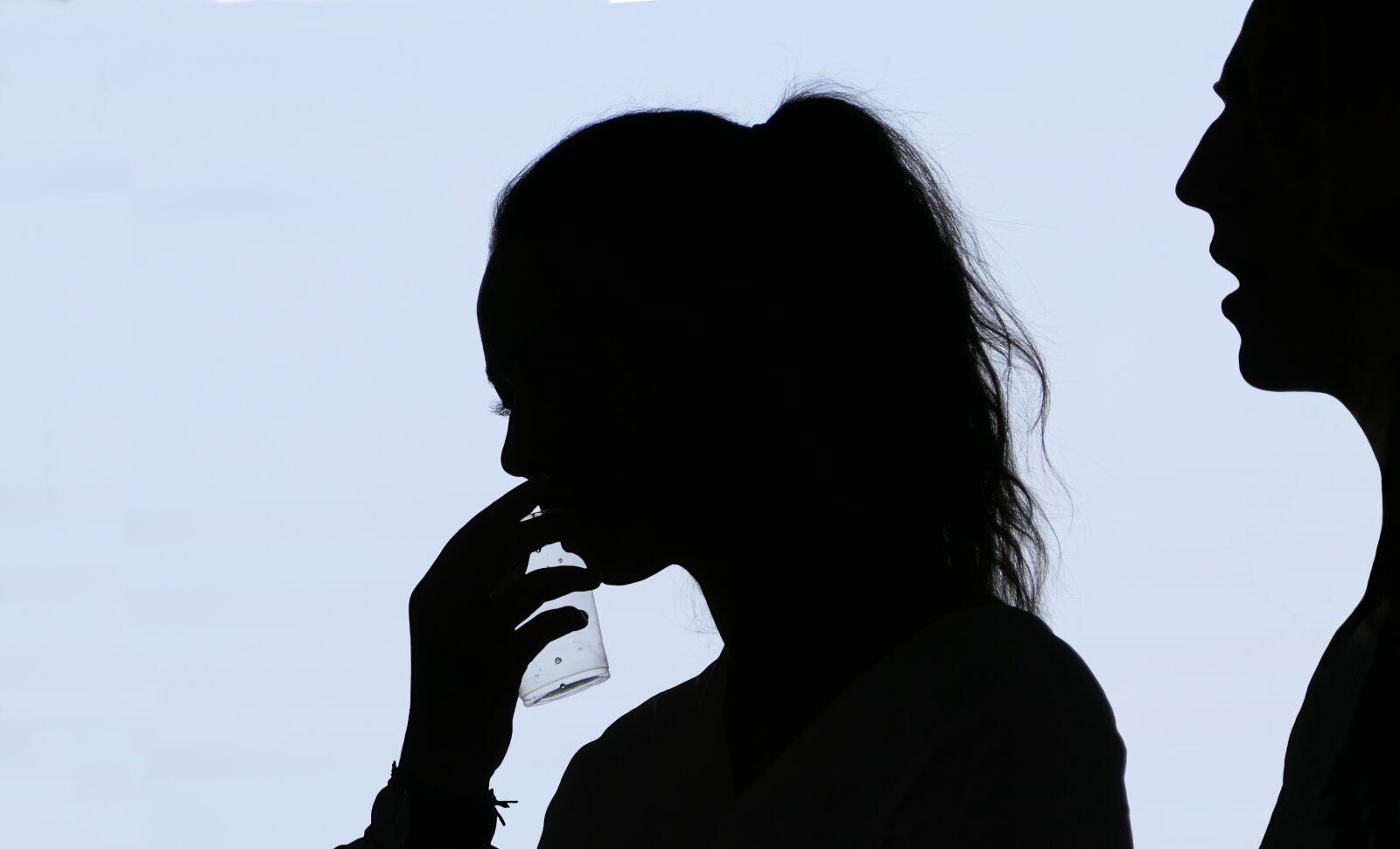 Panasonic Lumix DMC-FZ2500 (Lumix DMC-FZ2000) sample photo. Silhouette, woman, man photography