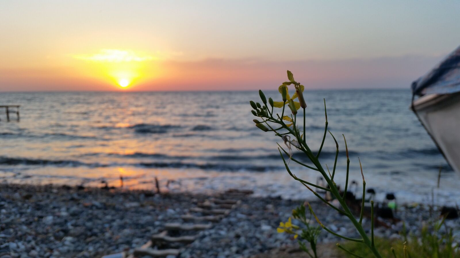Samsung Galaxy S5 sample photo. Flower, sea, sunset, turkey photography