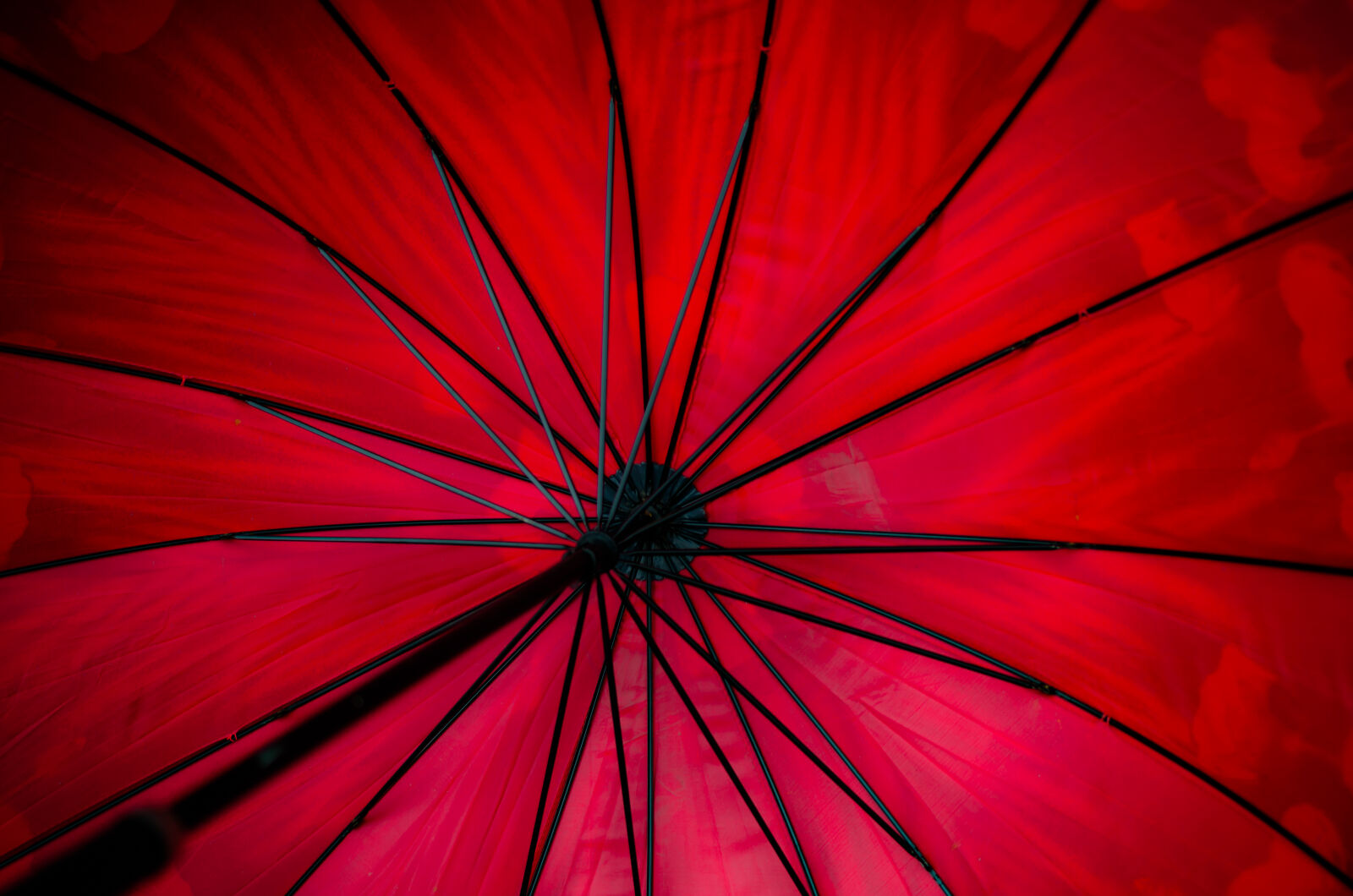 Nikon D5100 + Nikon AF-S DX Nikkor 35mm F1.8G sample photo. Black, steel, framed, red photography