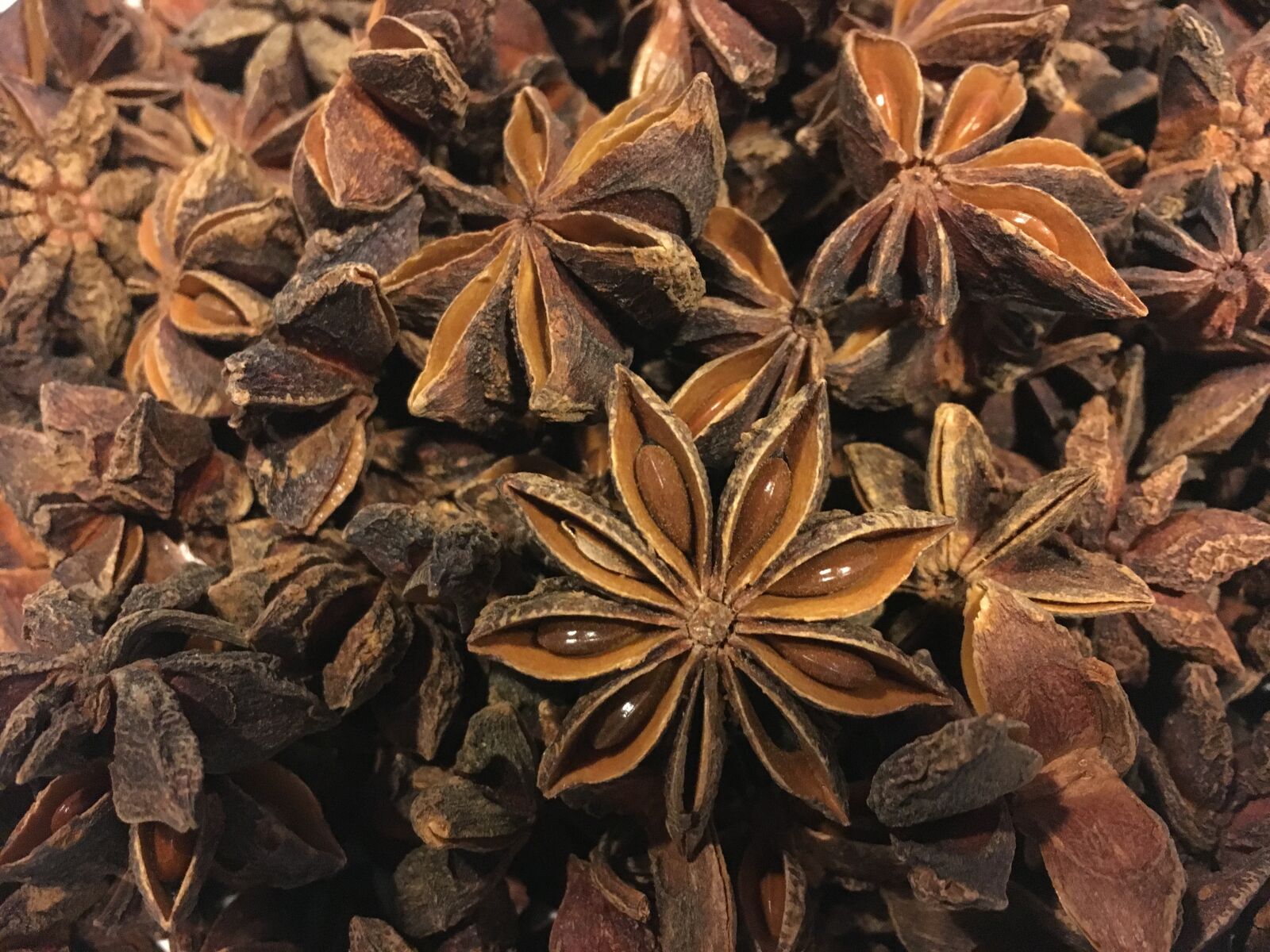Apple iPhone 6s sample photo. Star anise, anise, herbs photography