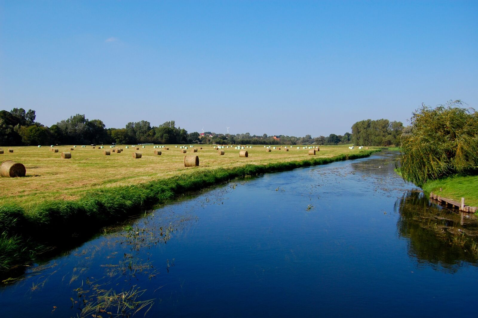 Nikon D40 sample photo. Tollense, altentreptow, river photography