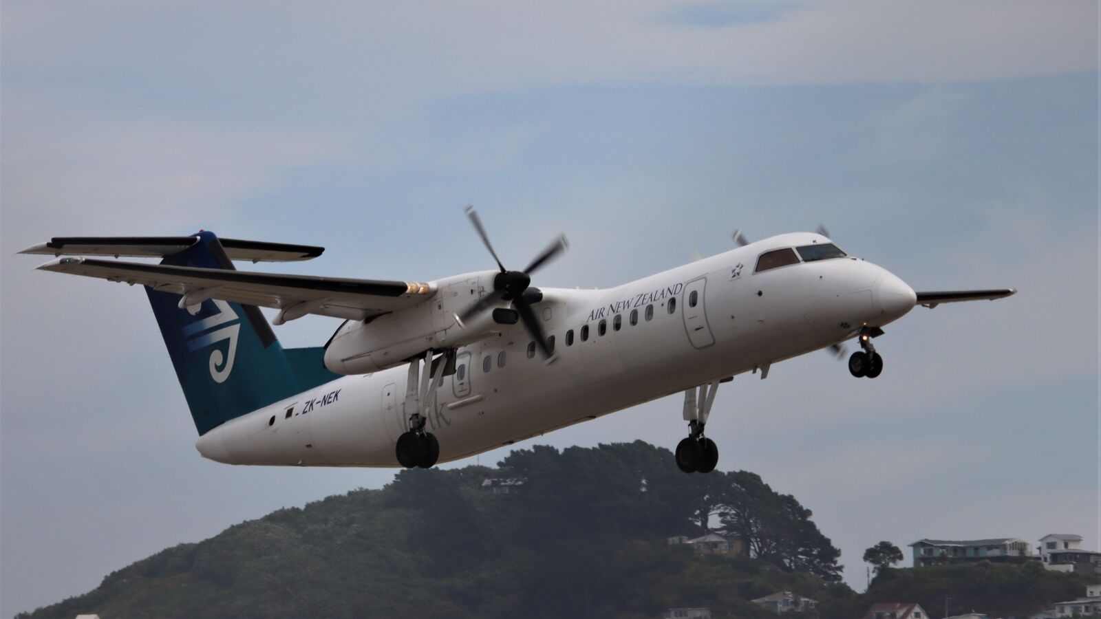 Canon EOS 90D sample photo. Air new zealand, de photography