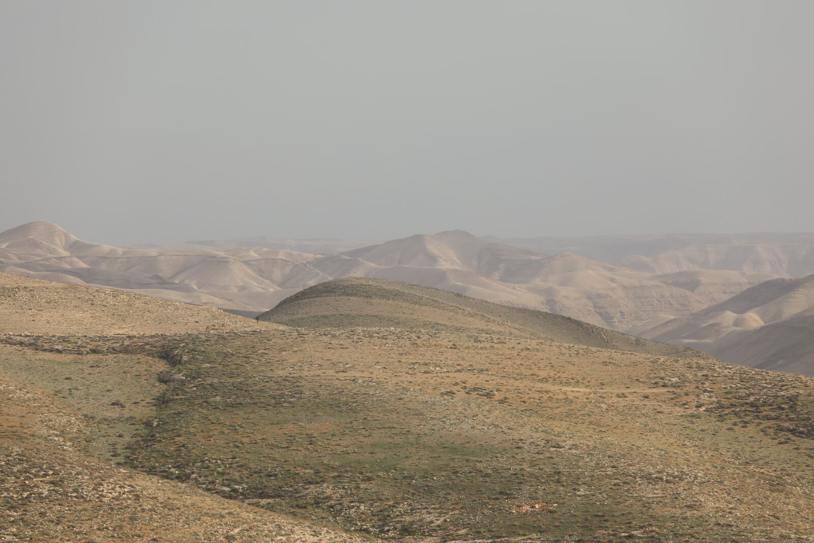 Canon EF 70-200mm F2.8L USM sample photo. Desert, mounts, nature photography