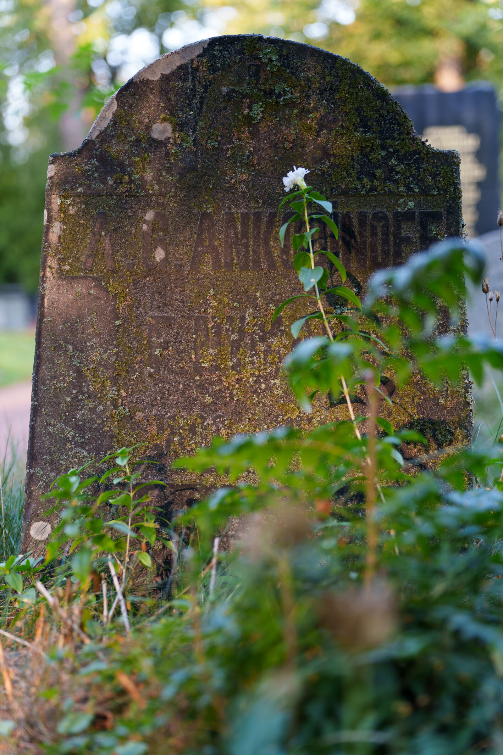 Sigma 28-105mm F2.8 DG DN | Art sample photo. Old gravestone photography