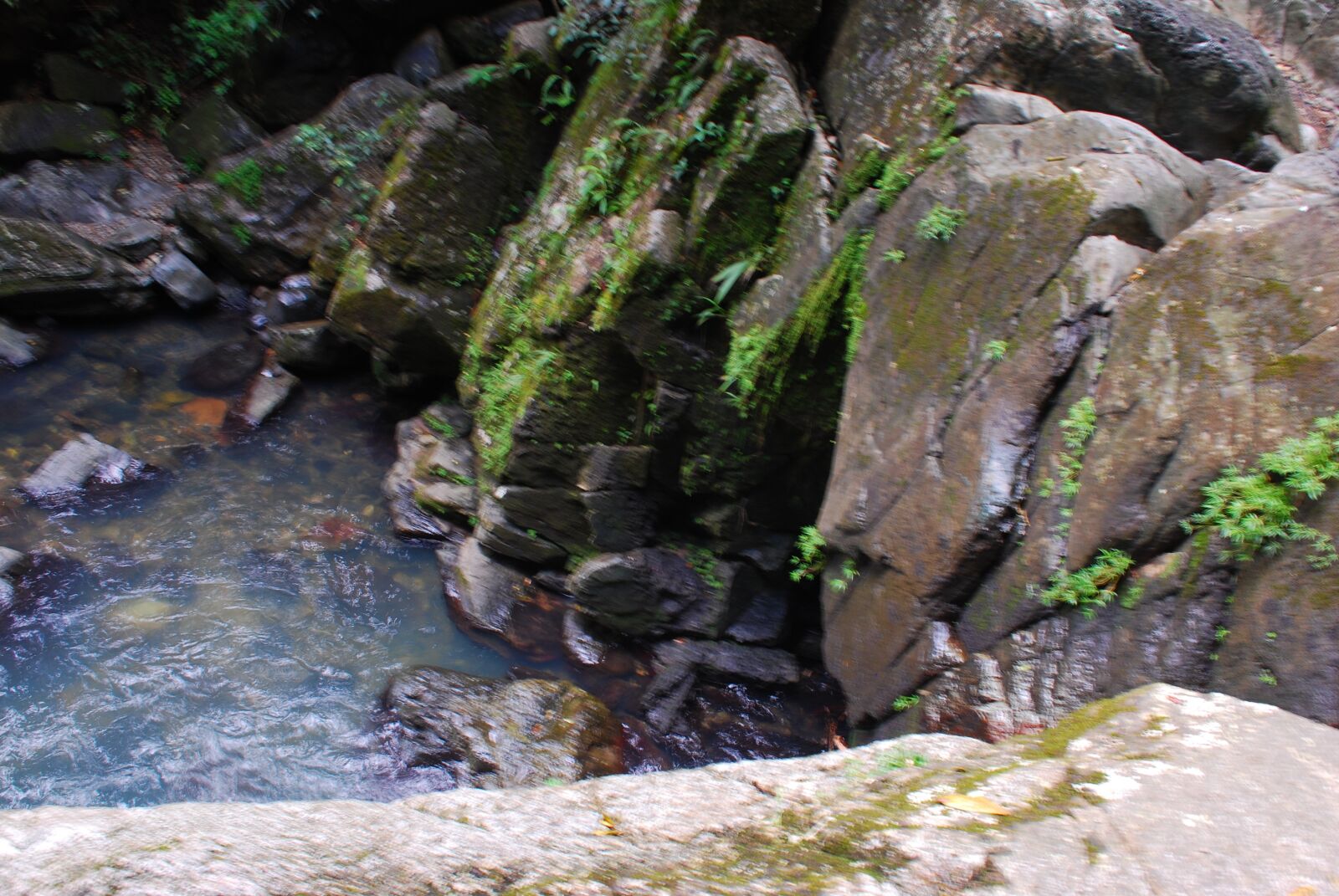 Nikon D80 sample photo. Rainforest, puerto rico, waterfalls photography