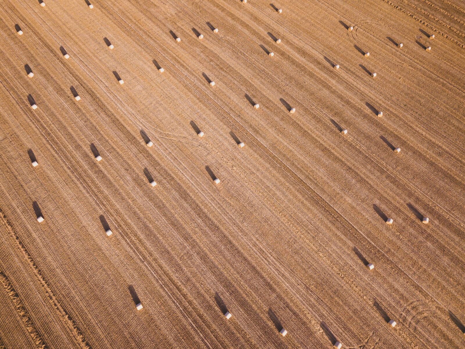 DJI FC220 sample photo. Hay barrel, hay, agriculture photography