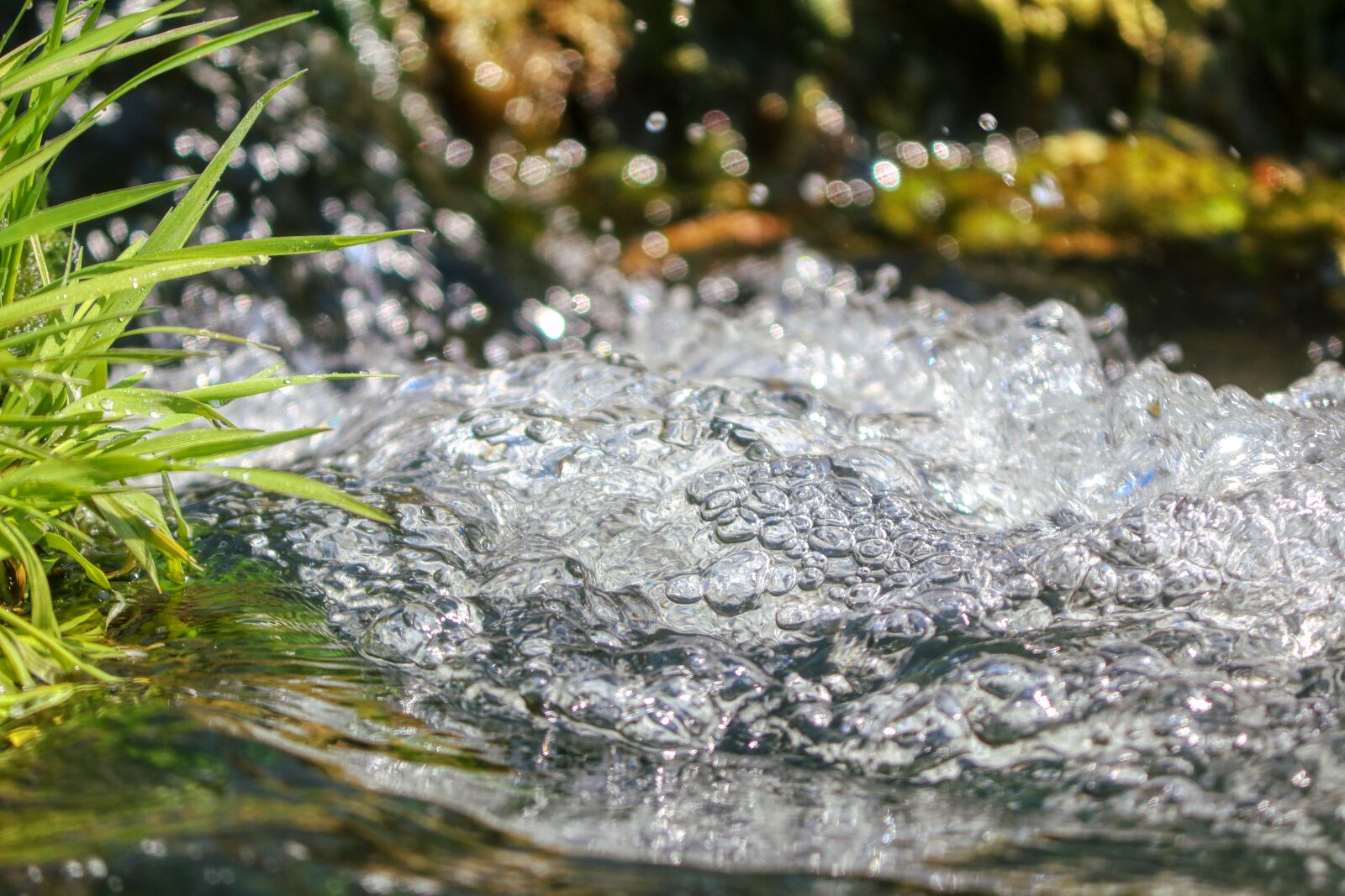 Canon EOS 80D sample photo. Water, water game, live photography
