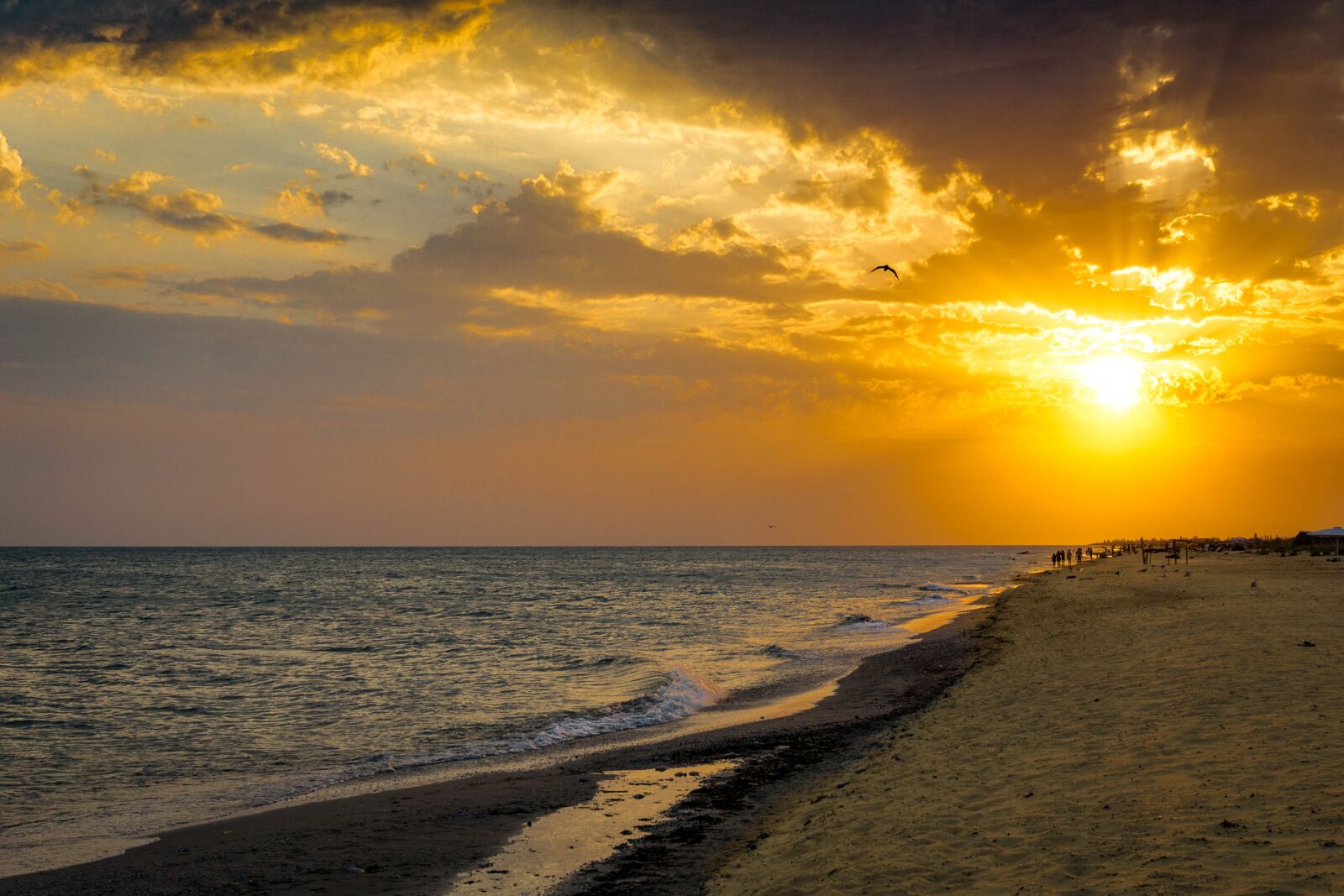 Sony a6000 sample photo. Sunset, bird, sea photography
